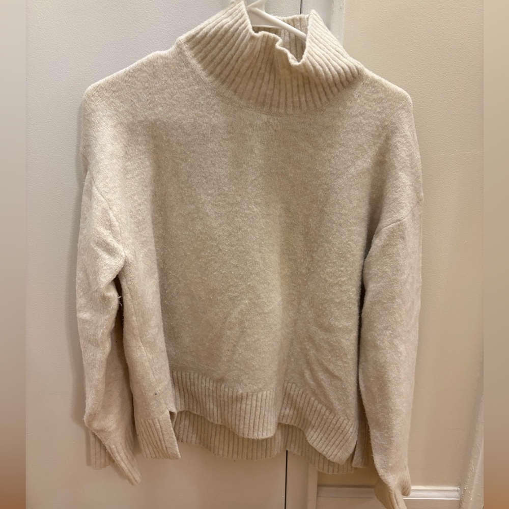 Uniqlo Turtleneck Sweater